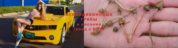 дживик Ростов