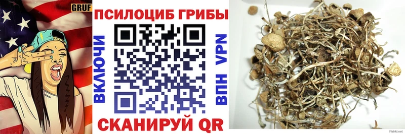 Галлюциногенные грибы Cubensis  Кувшиново 